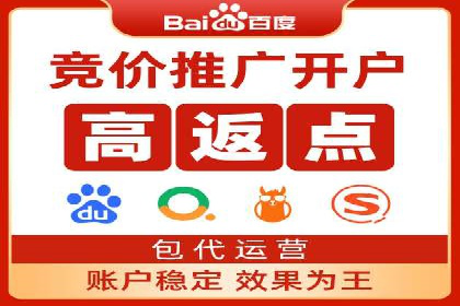 百度SEM代运营案例揭秘，如何实现ROI最大化